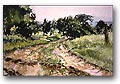 Fall River Lane