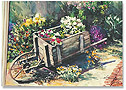 In The Garden